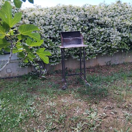 Appartamento in Residenza Punta di Sabaudia - seminterrato Esterno foto